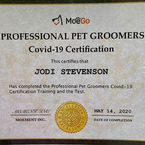 Jodi Stevenson Covid-19 Certification