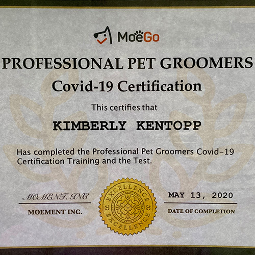 Kimberly Kentopp Covid-19 Certification